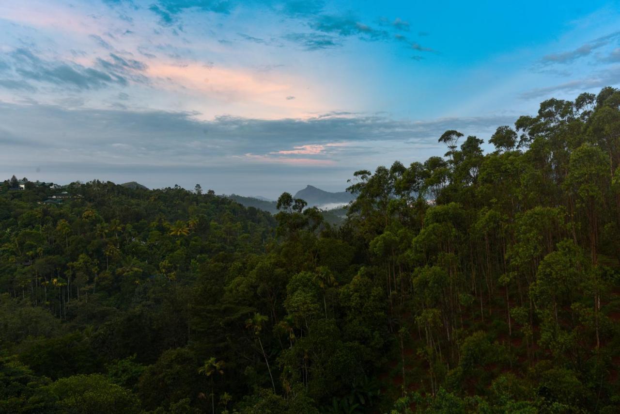 Hotel White House, Munnar Dış mekan fotoğraf