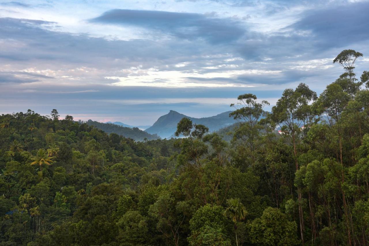 Hotel White House, Munnar Dış mekan fotoğraf